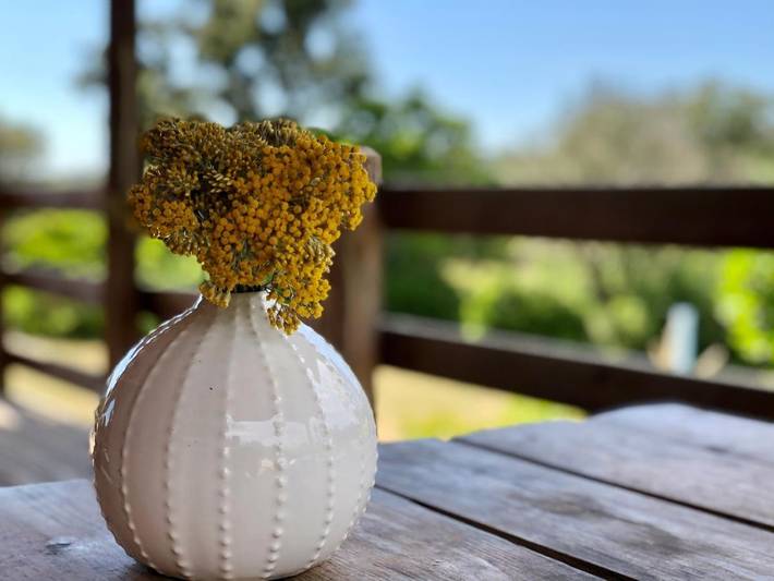 Gîte pour 4 personnes, avec jardin et vue à Pianottoli-Caldarello - 3