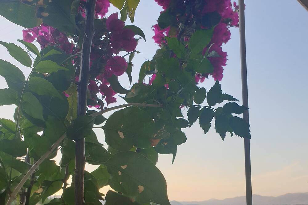 Sea view maisonette in Xiropigado, Kynouria