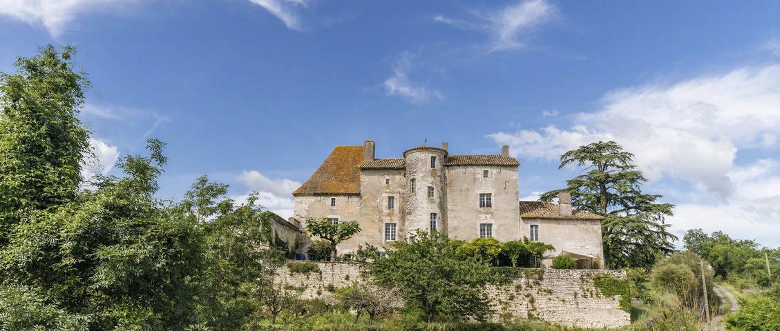 Château pour 26 personnes avec terrasse in Saux, Quercy