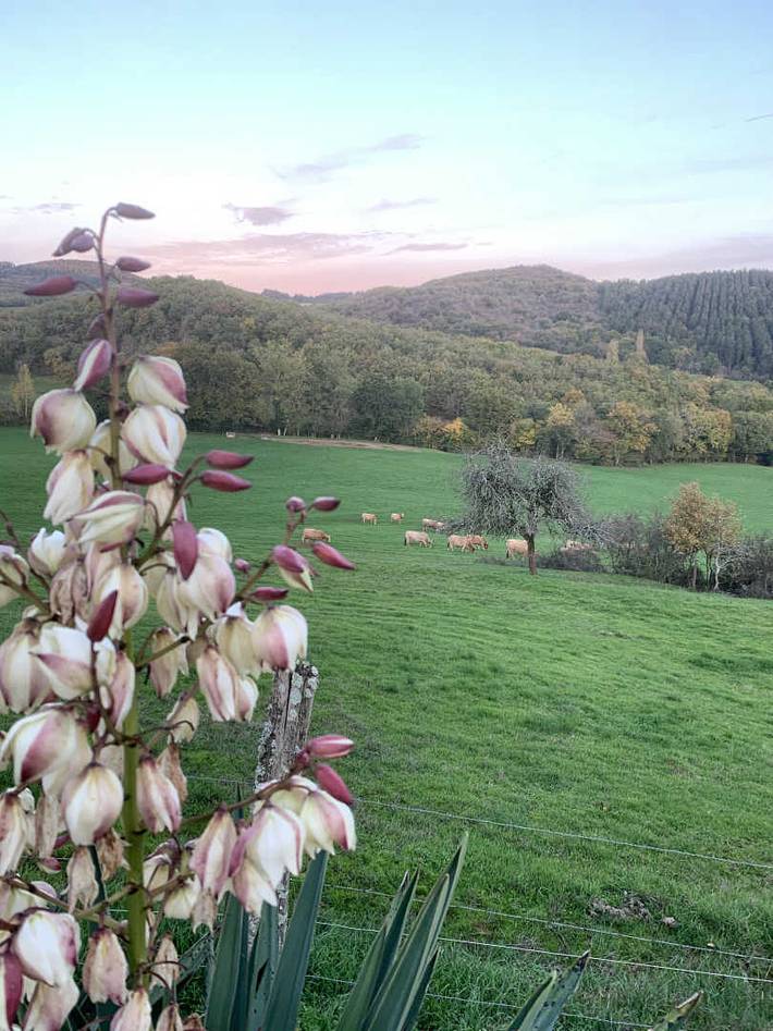 Gîte pour 2 personnes, avec terrasse et piscine dans le Tarn - 3