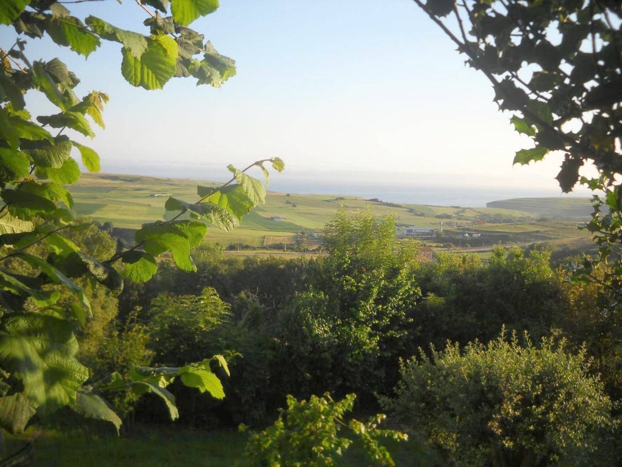 Double Room with Two Double Beds in Cóbreces, Alfoz de Lloredo