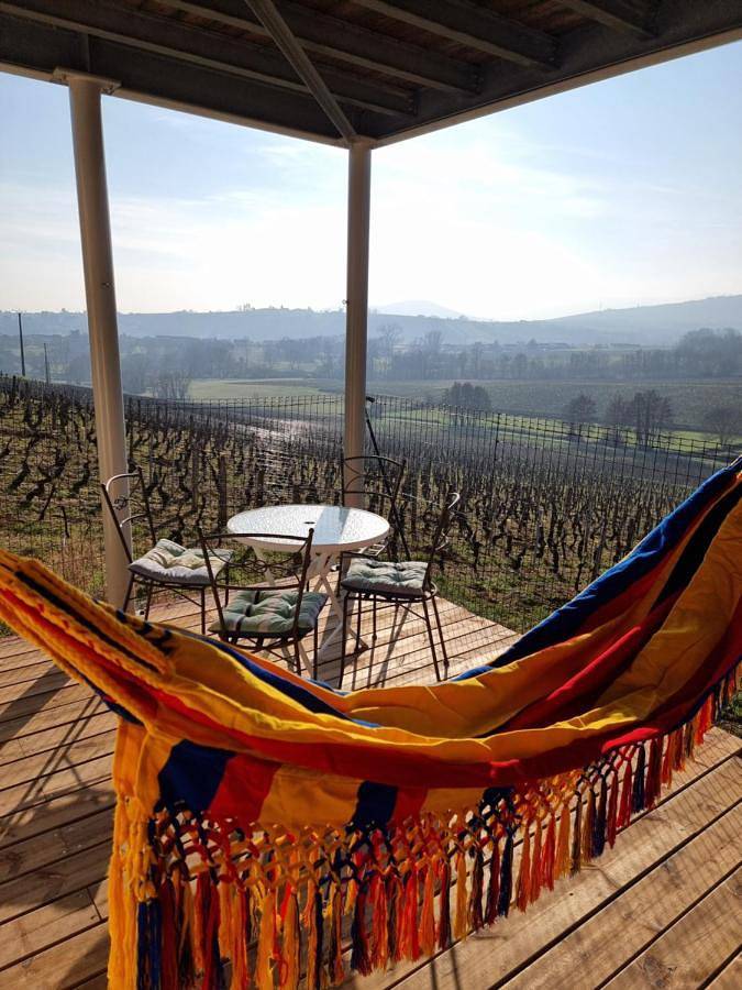 Gîte pour 4 personnes, avec vue ainsi que jardin et terrasse, animaux acceptés à Chaintré - 2