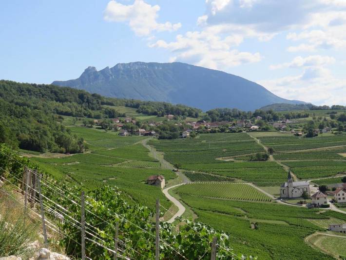 Location de vacances pour 2 personnes, avec vue et terrasse à Jongieux - 3