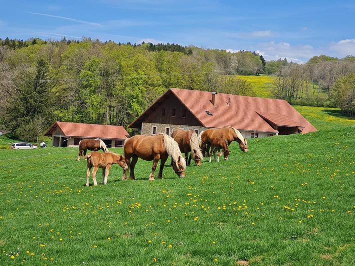 Location de vacances pour 7 personnes, avec Terrasse ainsi que Jardin et Vue à Arçon