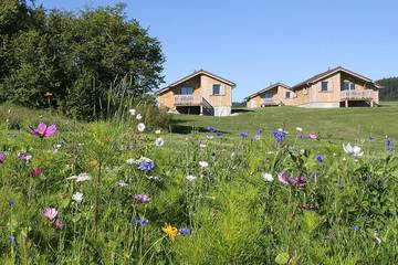 Maison de campagne pour 6 personnes, avec piscine et jardin, animaux acceptés à Prénovel