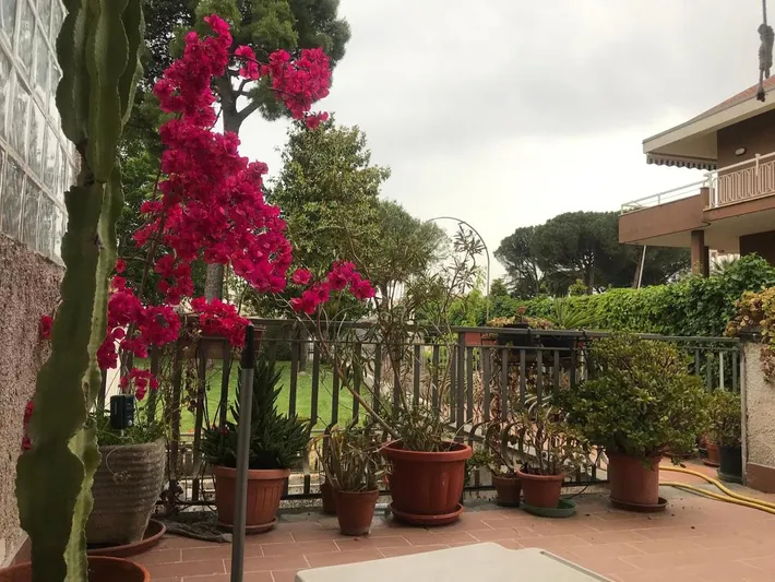Appartamento vacanze per 4 persone, con giardino - 1
