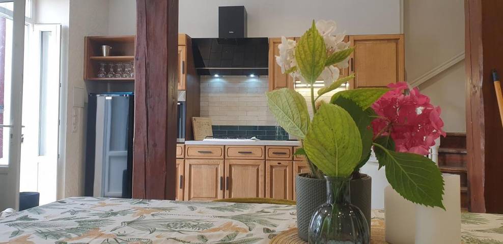 Location de vacances pour 6 personnes, avec jardin et vue, animaux acceptés à Camblanes-et-Meynac - 4