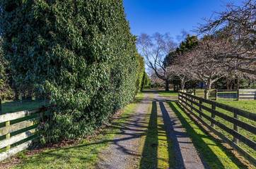 Guesthouse for 2 People in Wellington, Photo 1