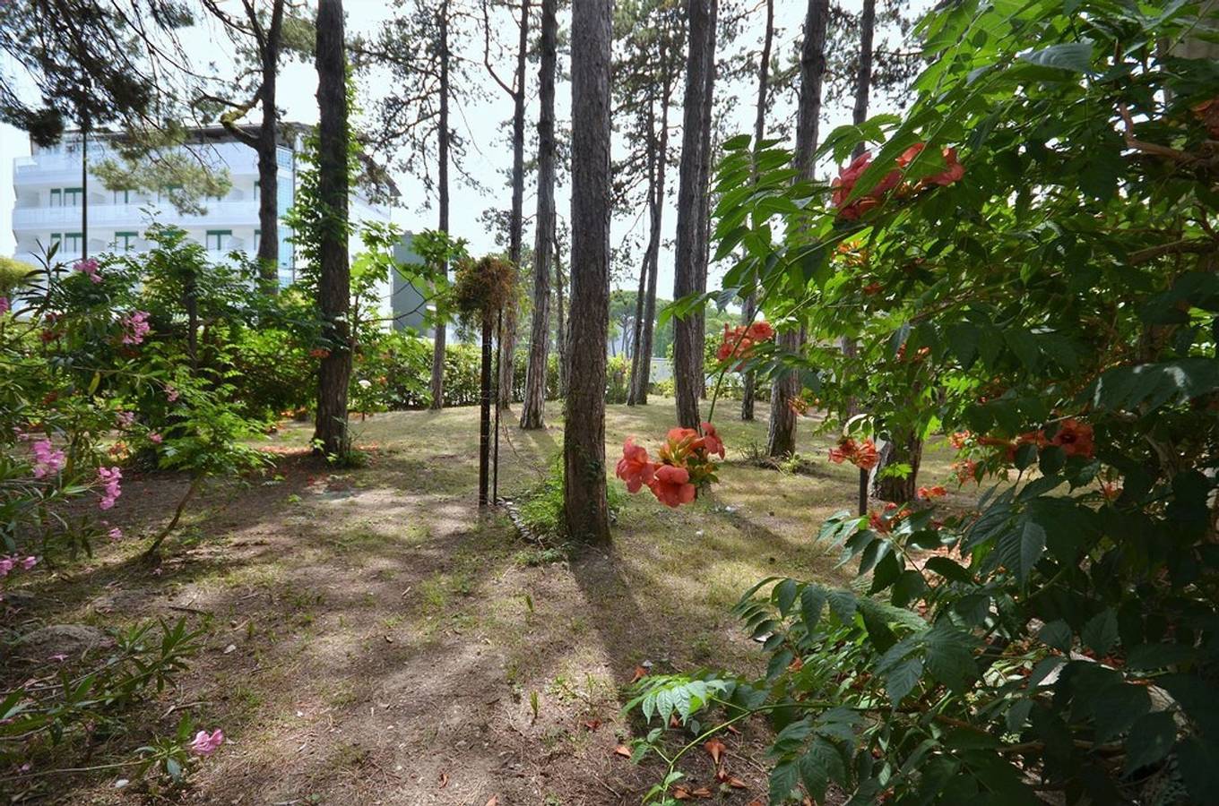 Amplia villa rodeada de exuberante vegetación. in Ribera de Lignano, Lignano Sabbiadoro