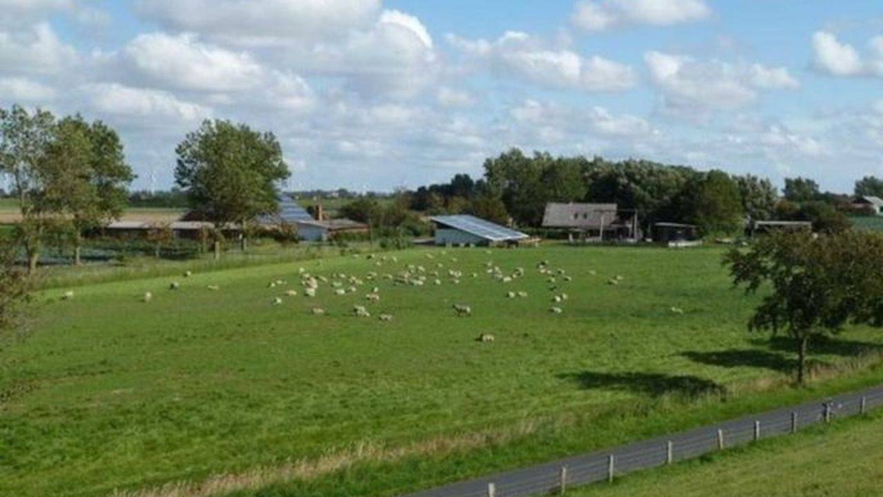 Ganze Ferienwohnung, Ferienwohnung für 4 Personen (70 m²) in Friedrichskoog in Dieksanderkoog, Friedrichskoog