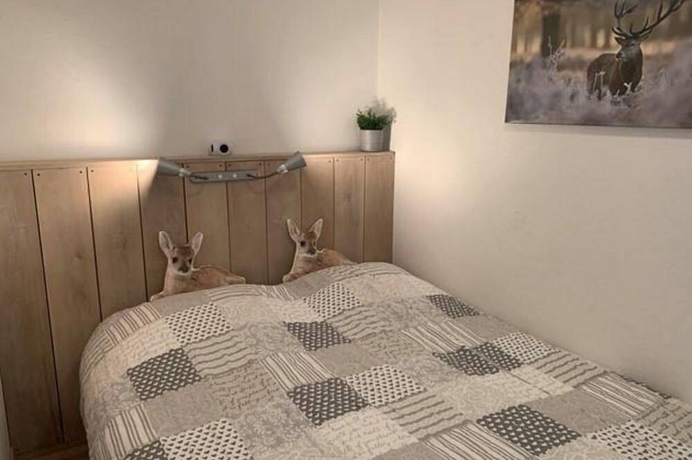 Ganze Wohnung, Gemütliche Wohnung mit Balkon am Rothaargebirge, direkt am Wald in Küstelberg, Medebach