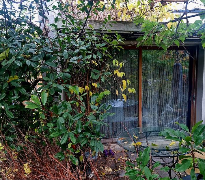 Chambre d’hôte pour 4 personnes, avec jardin et jacuzzi dans le Puy-de-Dôme - 4