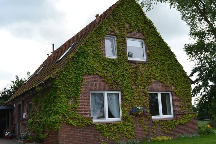 Bauernhof für 4 Personen, mit Garten in Schwanewede