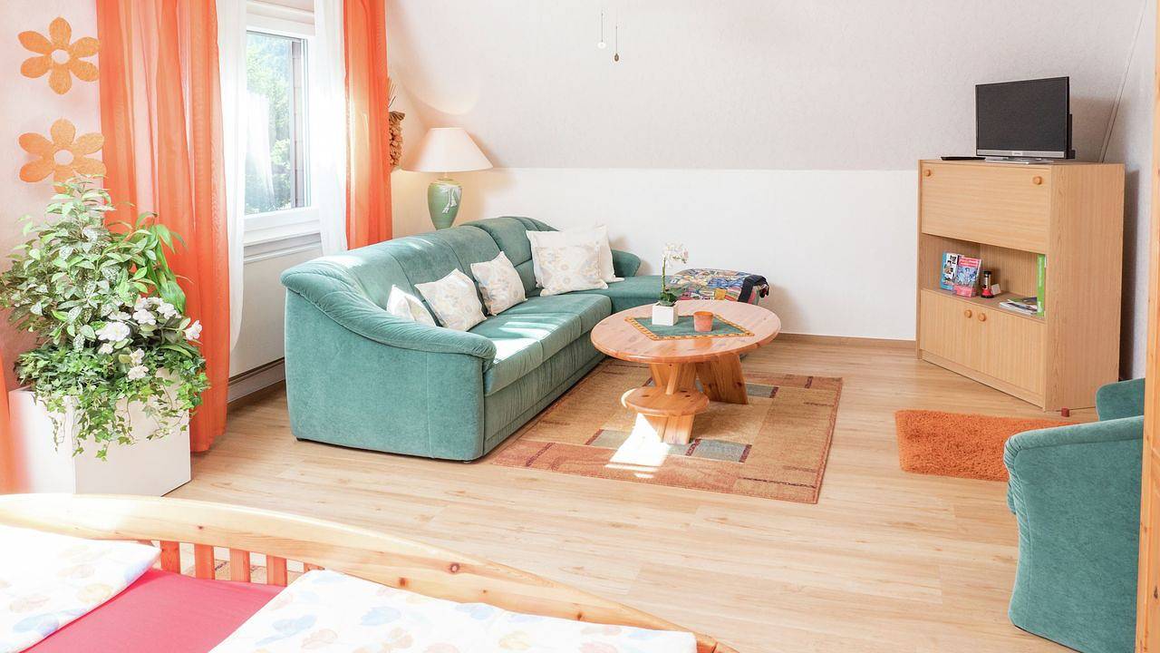 Ganze Ferienwohnung, Ferienwohnung für 4 Personen (65 m²) in Haslach im Kinzigtal in Haslach im Kinzigtal, Kinzigtal