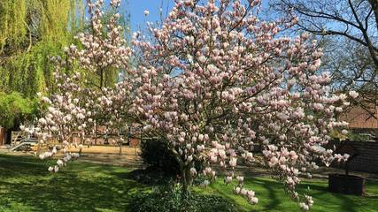 Ferienwohnung für 6 Personen in Lindwedel, Landkreis Heidekreis, Bild 2