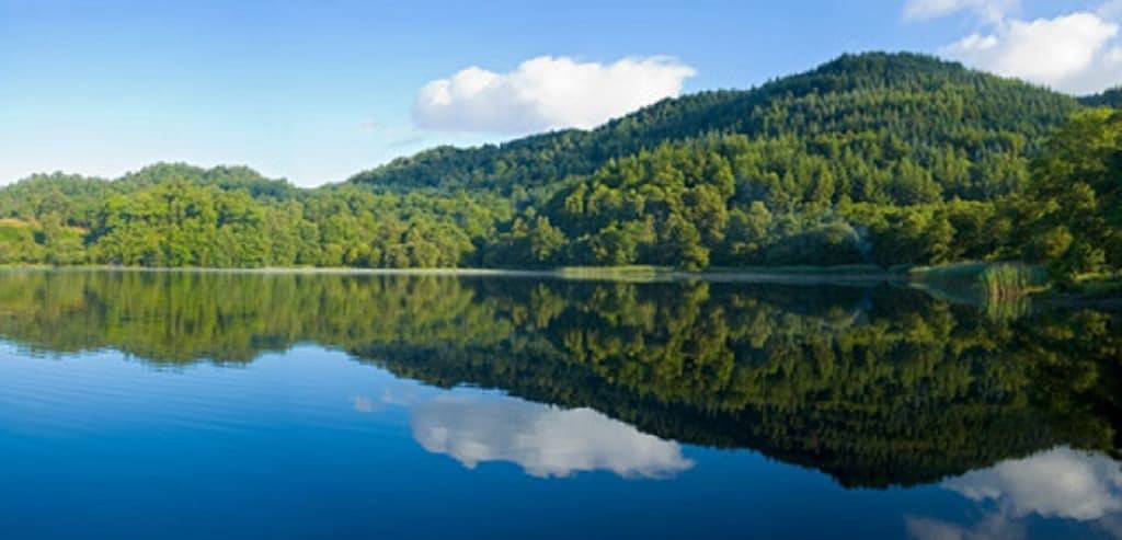 Ein bewaldetes Wunderland! in Monroe County (PA)