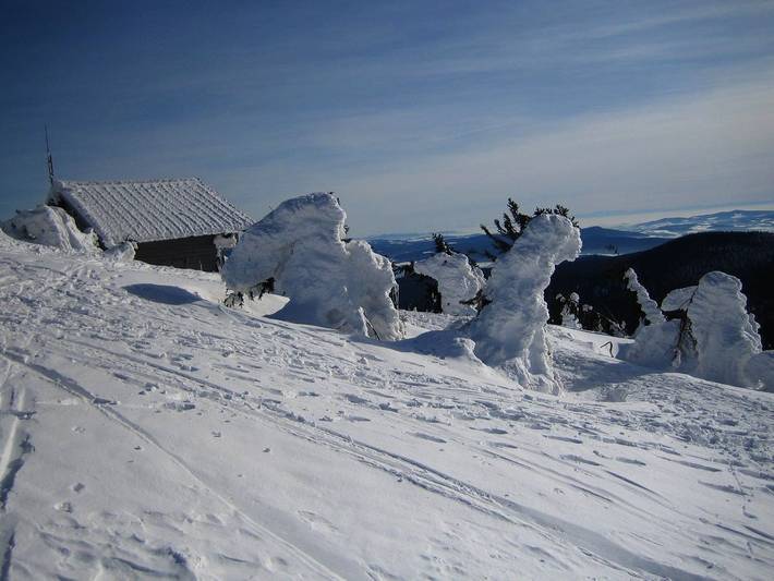 Ferienhaus für 2 Personen, mit Balkon und Balkon/Terrasse, mit Haustier in Bodenmais - 4
