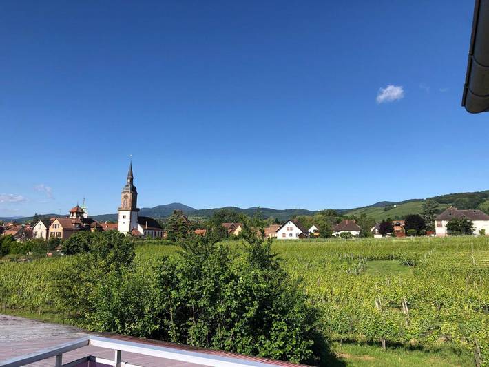 Location de vacances pour 4 personnes, avec jardin et vue à Gertwiller - 3