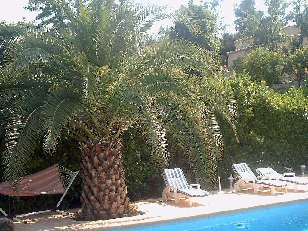 Escale d'Azur - Chambre "Bleuet" in Gattières, Région de Cannes