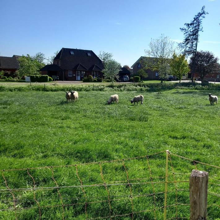 Ferienwohnung für 4 Personen, mit Balkon und Terrasse sowie Garten und Sauna in Leck - 4