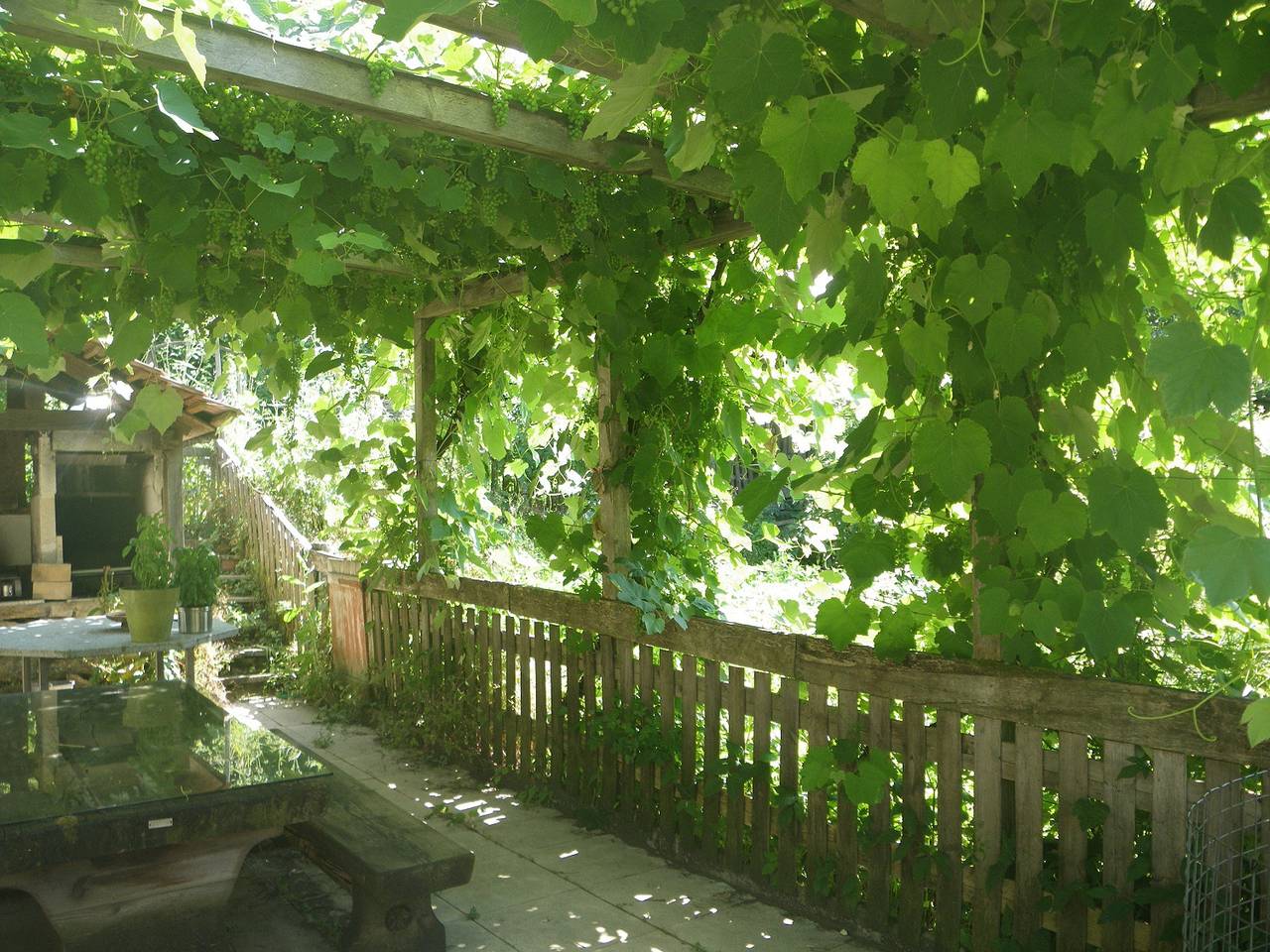 Ganze Ferienwohnung, Appartements - Centre Natursanne - Ferienwohnung Le Doubs (1-3 Pers.) in Saint-Ursanne, Clos du Doubs