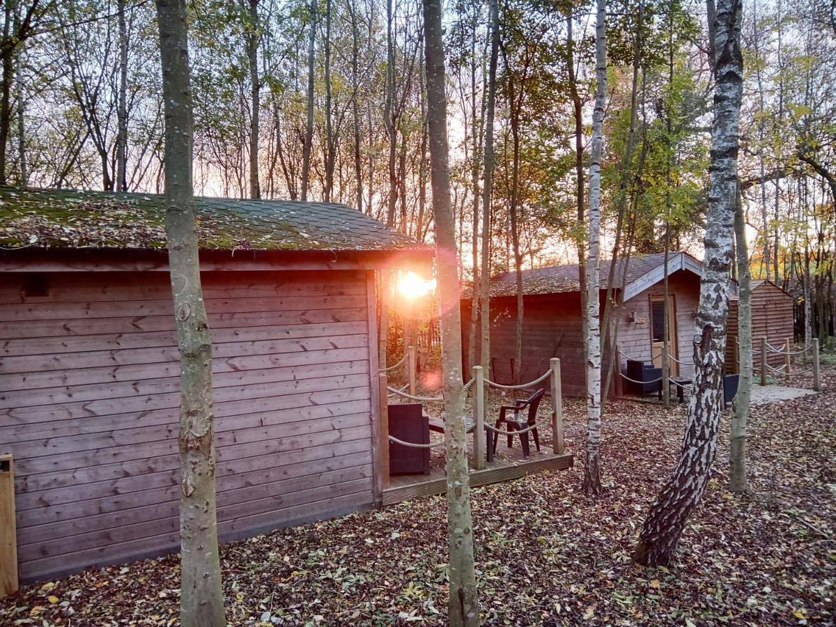 Hawthorn Luxury Woodland Lodge with Hot Tub in Derbyshire