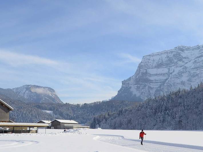 Ferienwohnung für 5 Personen, mit Garten und Terrasse in Bizau - 4