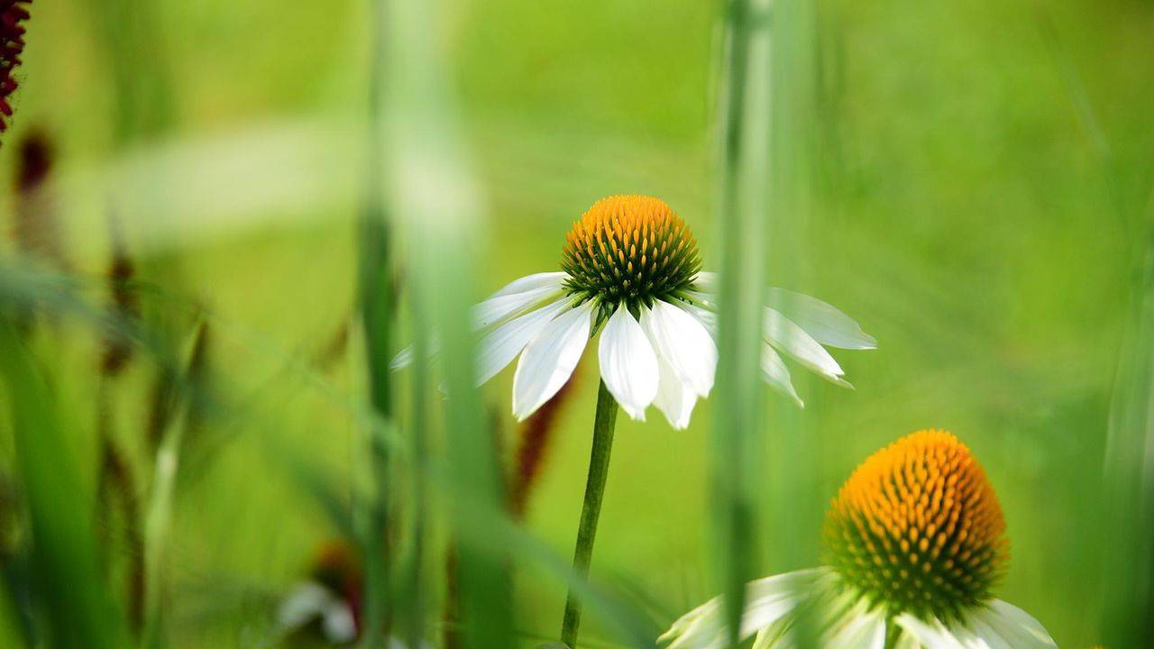 Ganze Ferienwohnung, Ferienwohnung für 2 Personen (55 m²) in Fulpmes in Stubaier Alpen, Fulpmes