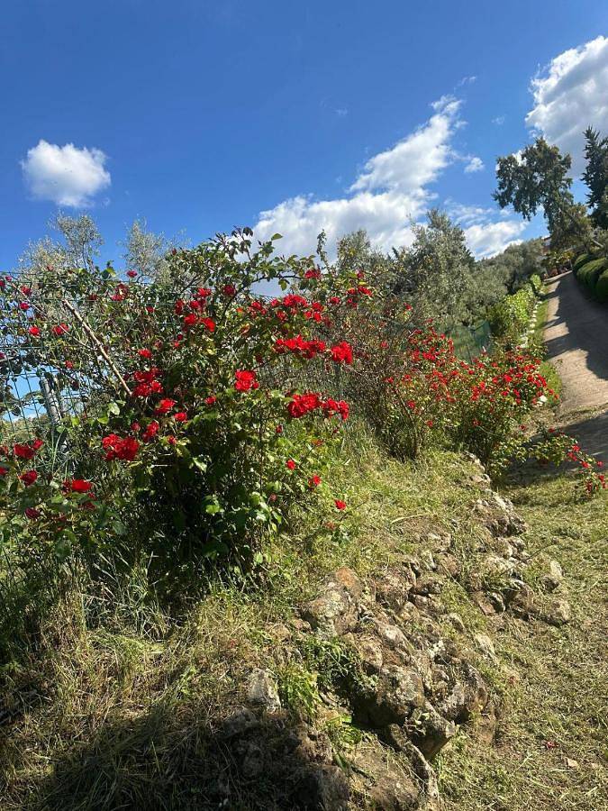 Casa de vacaciones para 3 personas, con terraza además de jardín y piscina en Andalucía - 3