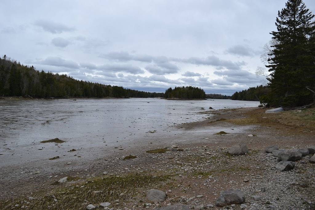 Quiet and Cozy Seaside Cottage with Amazing Sunsets in Washington County (Maine)