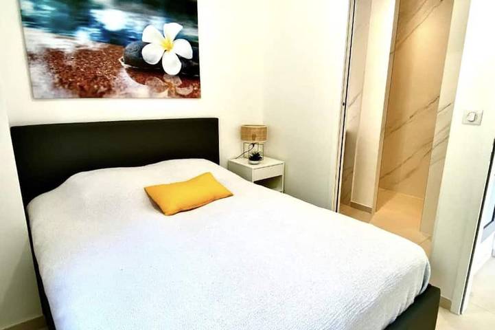 Gîte pour 4 personnes dans Port Des Salettes Carqueiranne - 3