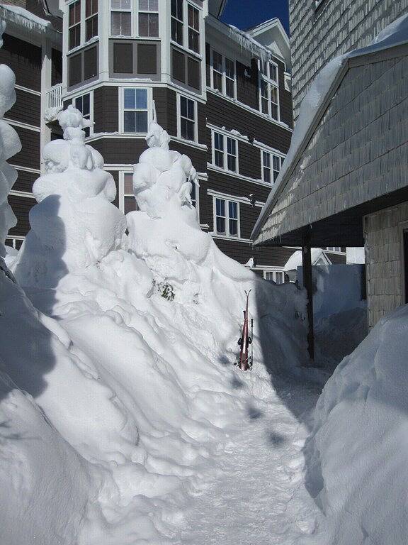 Ganze Wohnung, Kundenservice # 1-Village 1Br, Dorf, perfekte Lage, mehrere Eigentumswohnungen in Snowshoe, Greenbrier River