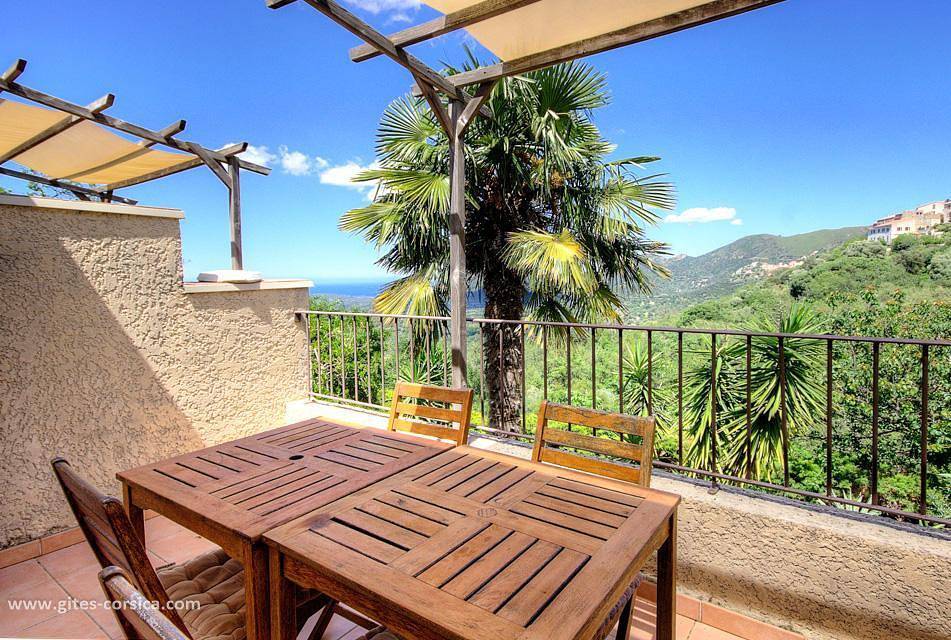 Olivier 6 in Costa, Calvi und Umgebung