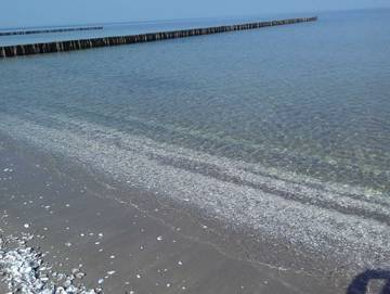 Ferienpark für 4 Personen in Seebad Zempin, Zempin, Bild 3