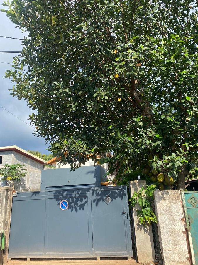 Location de vacances pour 2 personnes, avec jardin et terrasse dans Mayotte - 2