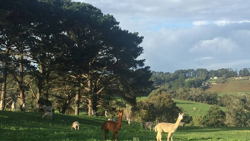 Holiday home for 10 people, with garden in Eastern Victoria Region