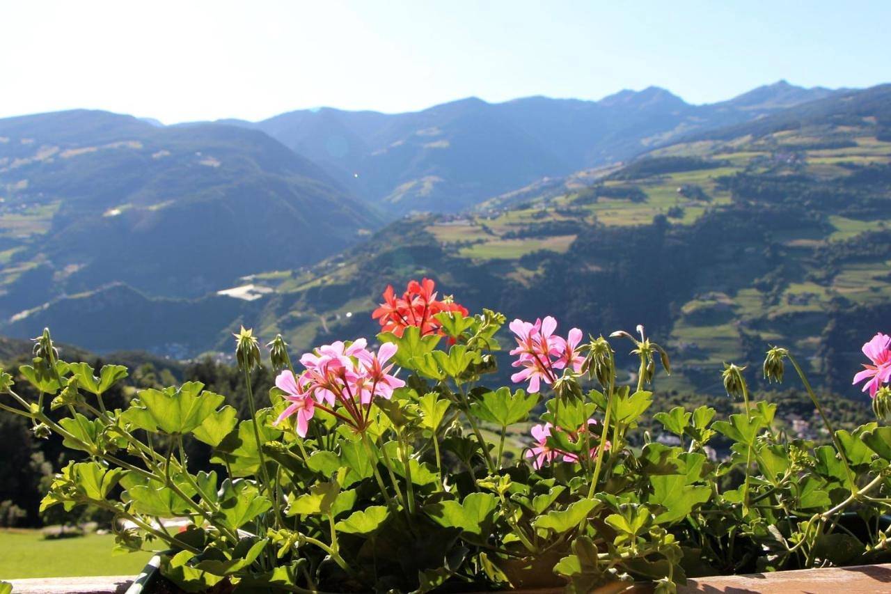 Ganze Wohnung, Spisserhof in Gufidaun, Klausen