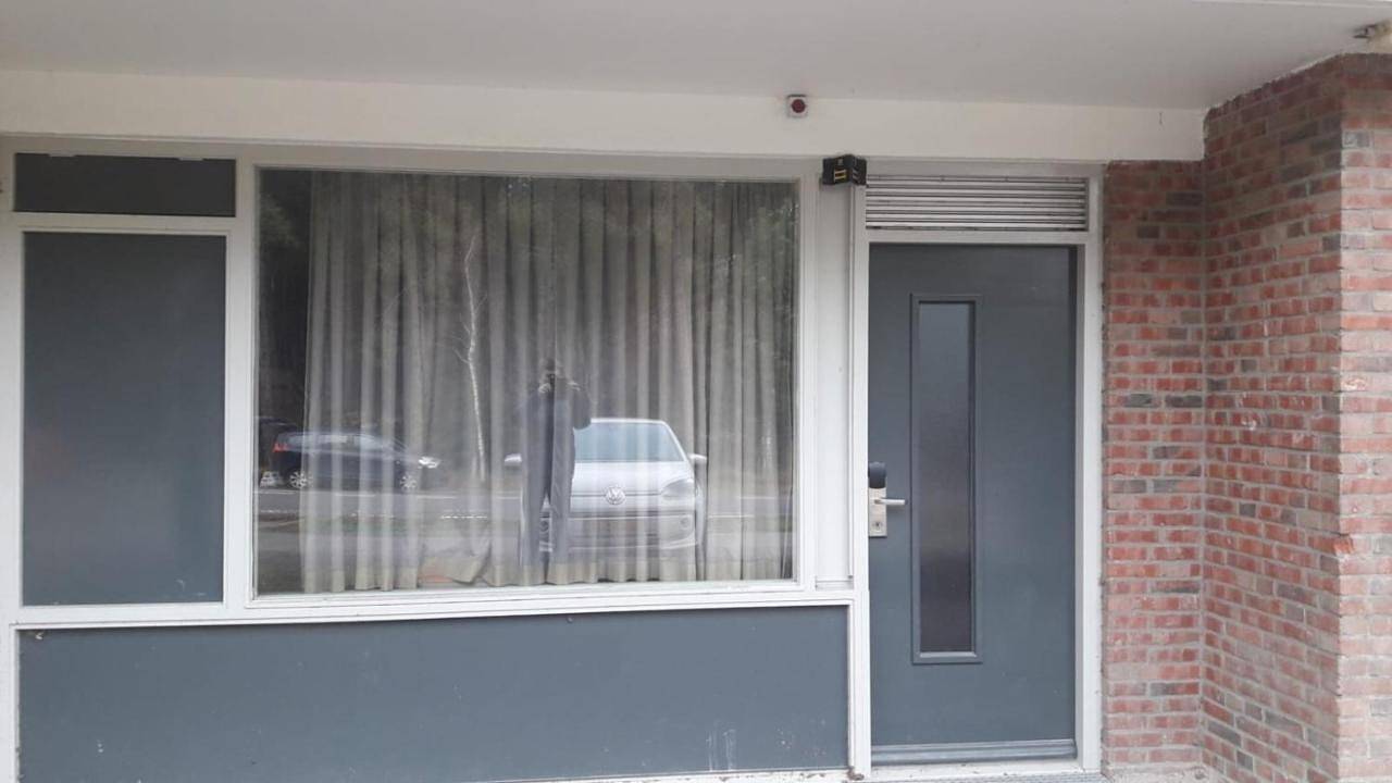 Boslust in Bergen op Zoom, Noord-Brabant