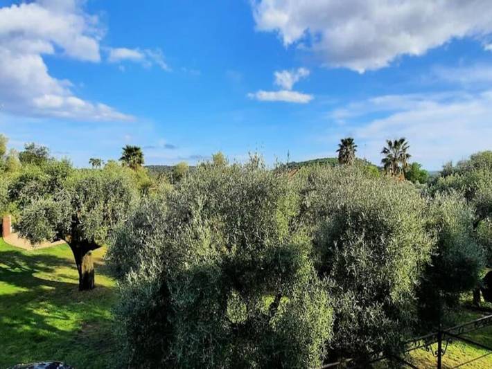 Gîte pour 8 personnes, avec jardin à Tourrettes-sur-Loup - 4