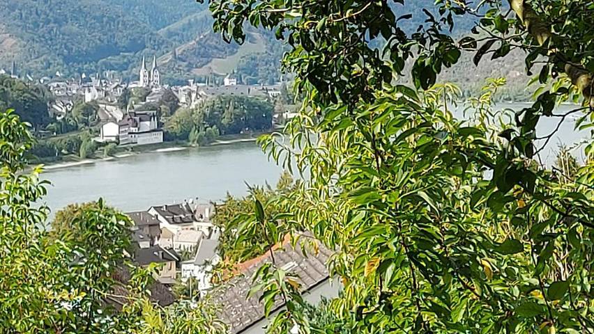 Ferienwohnung für 16 Personen, mit Sauna und Ausblick sowie Garten, kinderfreundlich in Kamp-Bornhofen - 2