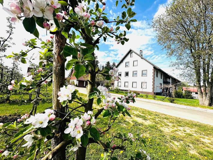 Bauernhof für 6 Personen, mit Garten
