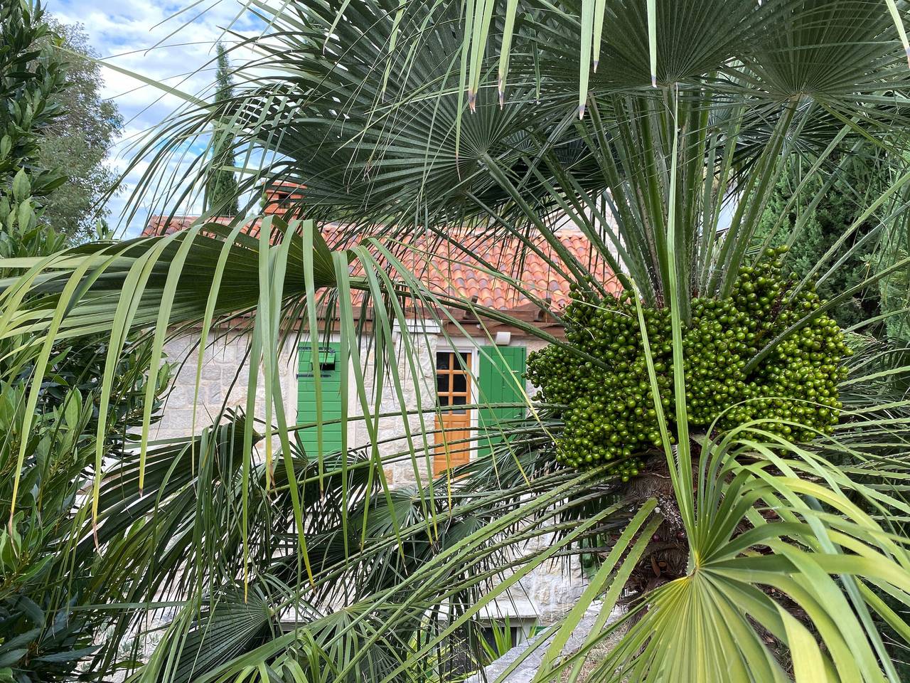 Villa 'Zeleni Raj' pet-friendly con vista mare, Wi-Fi e aria condizionata in Almissa, Omiš-Riviera