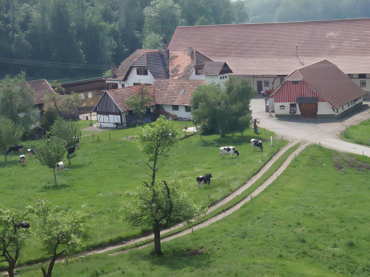 Ganze Wohnung, Ferienwohnung 'Große In Altem Hofgut' mit Balkon und Wi-Fi in Hilzingen, Hegau