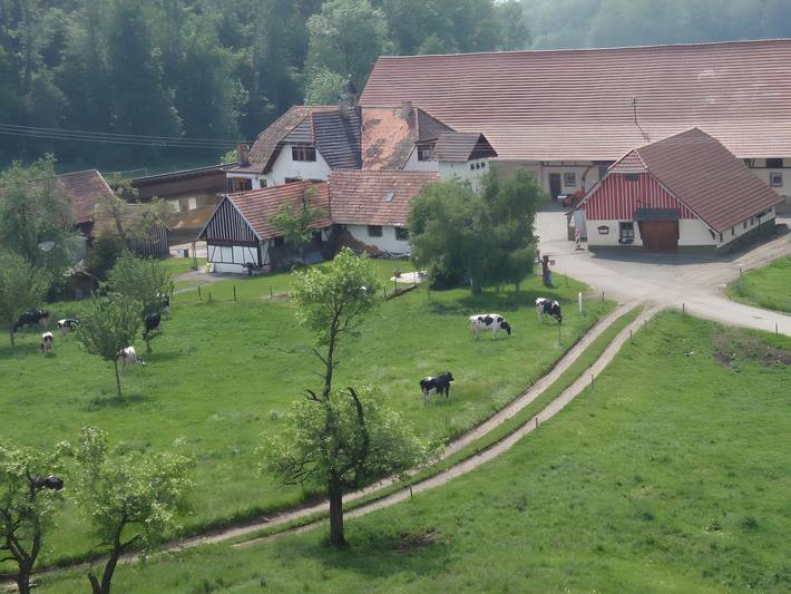 Bauernhof für 5 Personen, mit Balkon am Bodensee - 2