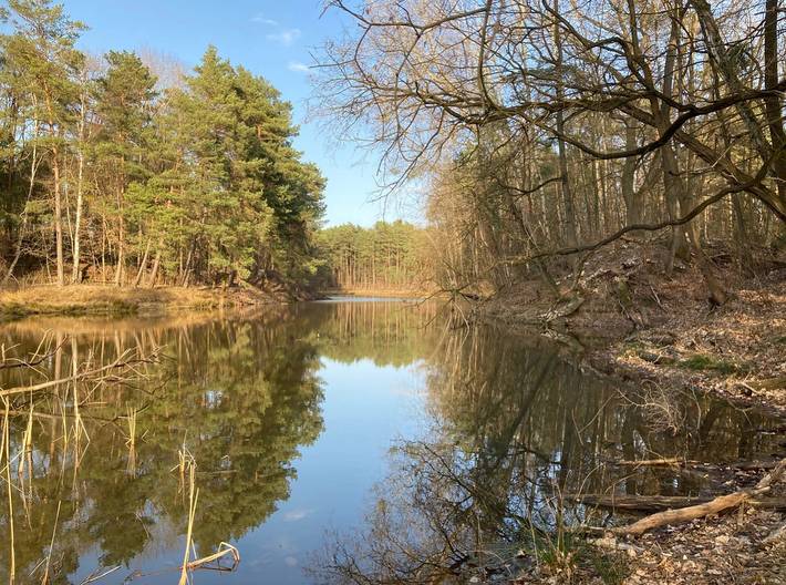 Ferienhaus für 4 Personen, mit Terrasse und Seeblick sowie Garten in Coswig (Anhalt)