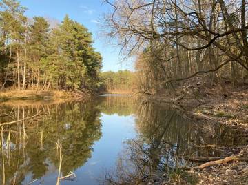 Ferienhaus für 4 Personen, mit Garten und Terrasse sowie Seeblick am Fläming