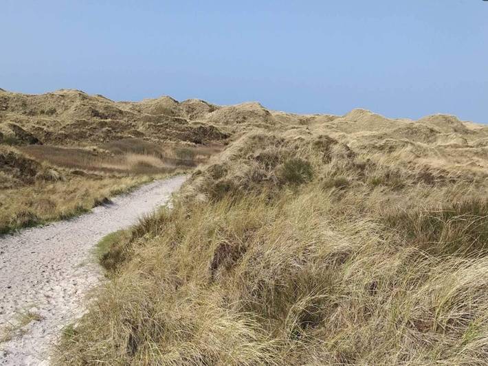 Ferienhaus für 8 Personen, mit Terrasse und Sauna in Henne Strand - 4