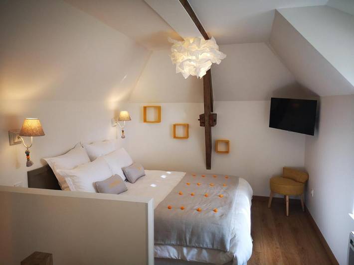 Chambre d’hôte pour 5 personnes, avec vue et jardin, animaux acceptés en Champagne-Ardenne - 3
