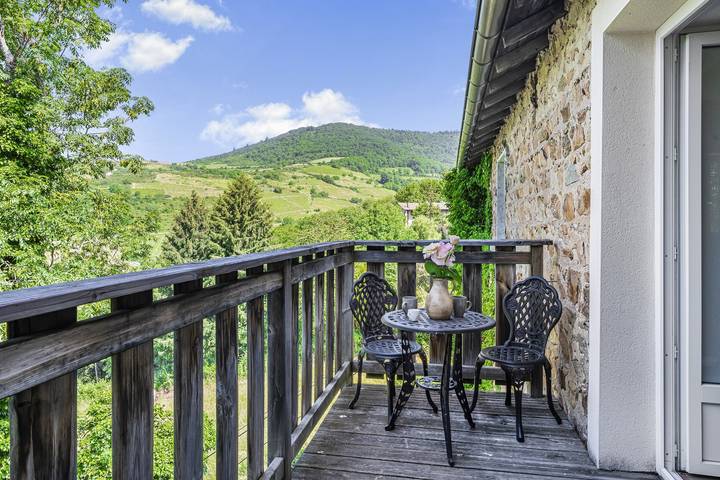 Maison de vacances pour 15 personnes, avec jardin, adapté aux familles dans Rhône - 3
