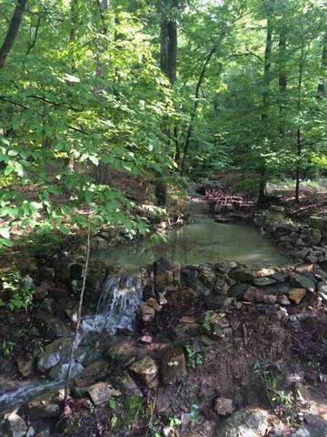 Cabin for 6 Guests in Ouachita National Forest, Arkansas, Picture 4